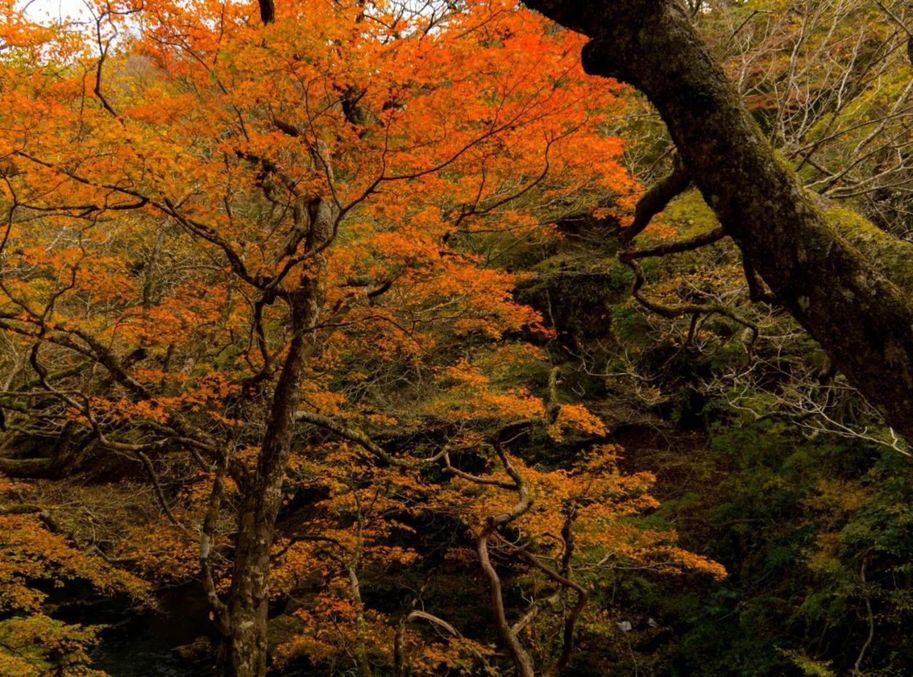 Hakone Nanase Formerly Known As Manatei Χακόνε Εξωτερικό φωτογραφία